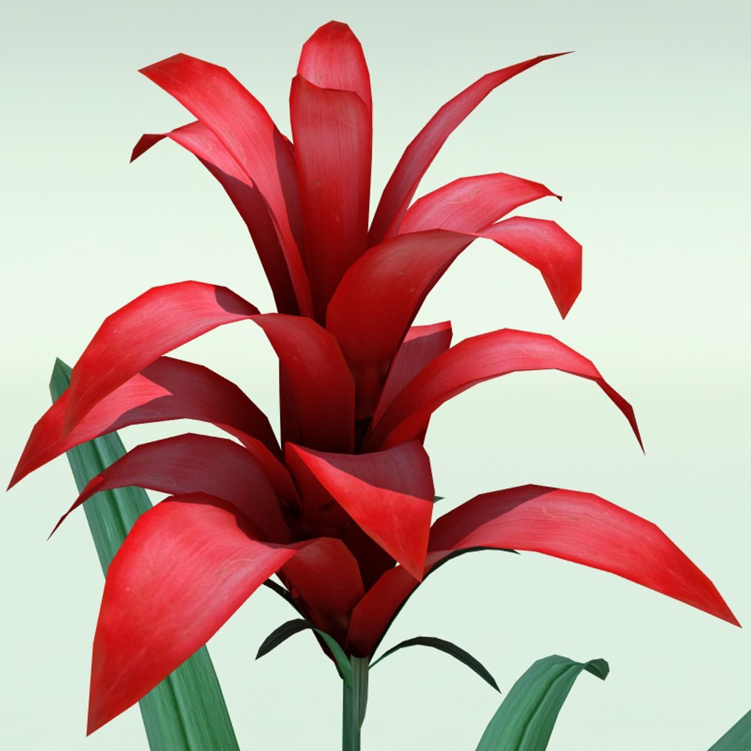 3ds max interior plants v5 https://p.turbosquid.com/ts-thumb/Mq/Sc6Dyy/Zmh8Ppm0/interior_plants_collection_v5_58/jpg/1266357846/1920x1080/fit_q87/4a2582787115de842be5055250b1858d852a218e/interior_plants_collection_v5_58.jpg