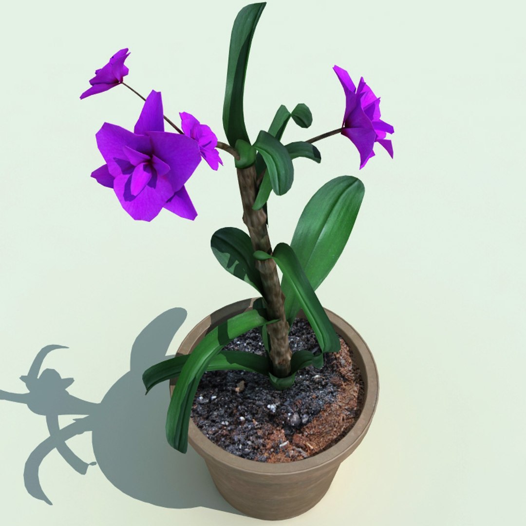 3ds max interior plants v5 https://p.turbosquid.com/ts-thumb/Mq/Sc6Dyy/caoVnZVa/interior_plants_collection_v5_36/jpg/1266357844/1920x1080/fit_q87/8de17fb6db094945e0c31c029ed3f04b50ba123c/interior_plants_collection_v5_36.jpg