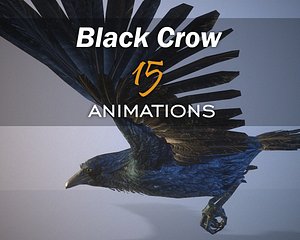 Black Raven 15-animations Game ready props Low-poly