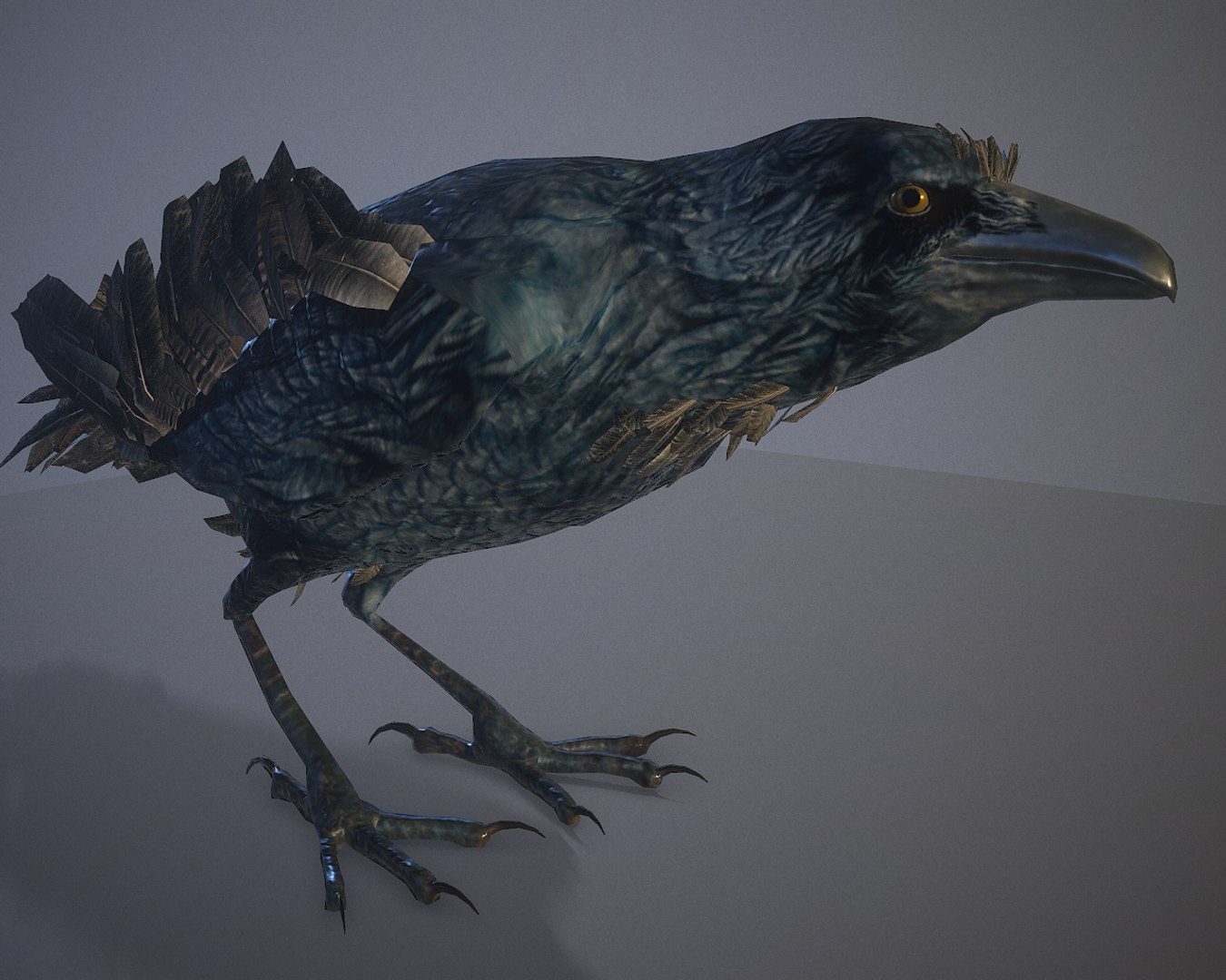 crow 15 animations 3D https://p.turbosquid.com/ts-thumb/Mq/YtiPT9/8g/screenshot001/png/1616869311/1920x1080/fit_q87/b78c7be167953d4697fc8c6fb71c33e8d6a8d527/screenshot001.jpg