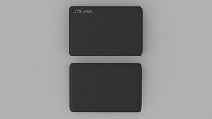 Portable Storage