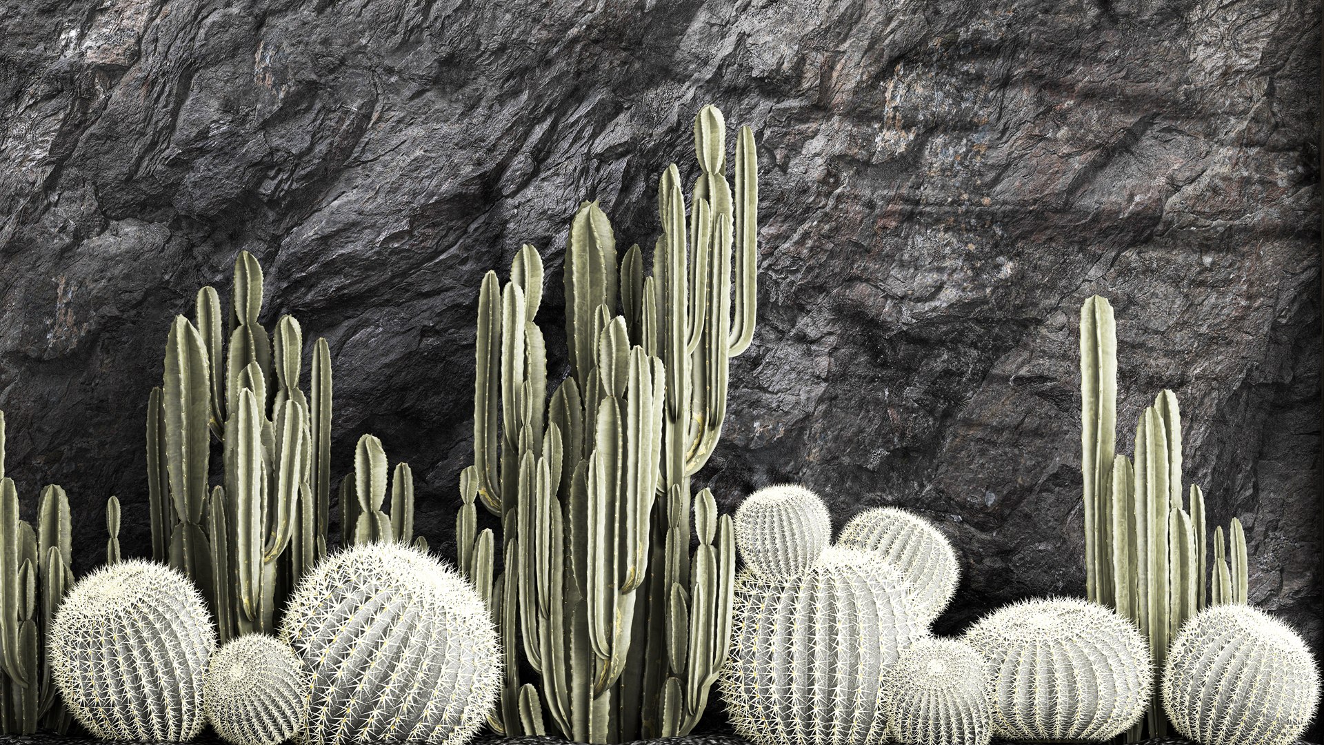 Beautiful cacti and a wall of black rock and pebbles 1279 3D model https://p.turbosquid.com/ts-thumb/Mq/jrJQEZ/4z/1garden2404202306/jpg/1682511582/1920x1080/fit_q87/6dc060fb9f68cc7173cfabaf4c1eb54fa504d04d/1garden2404202306.jpg