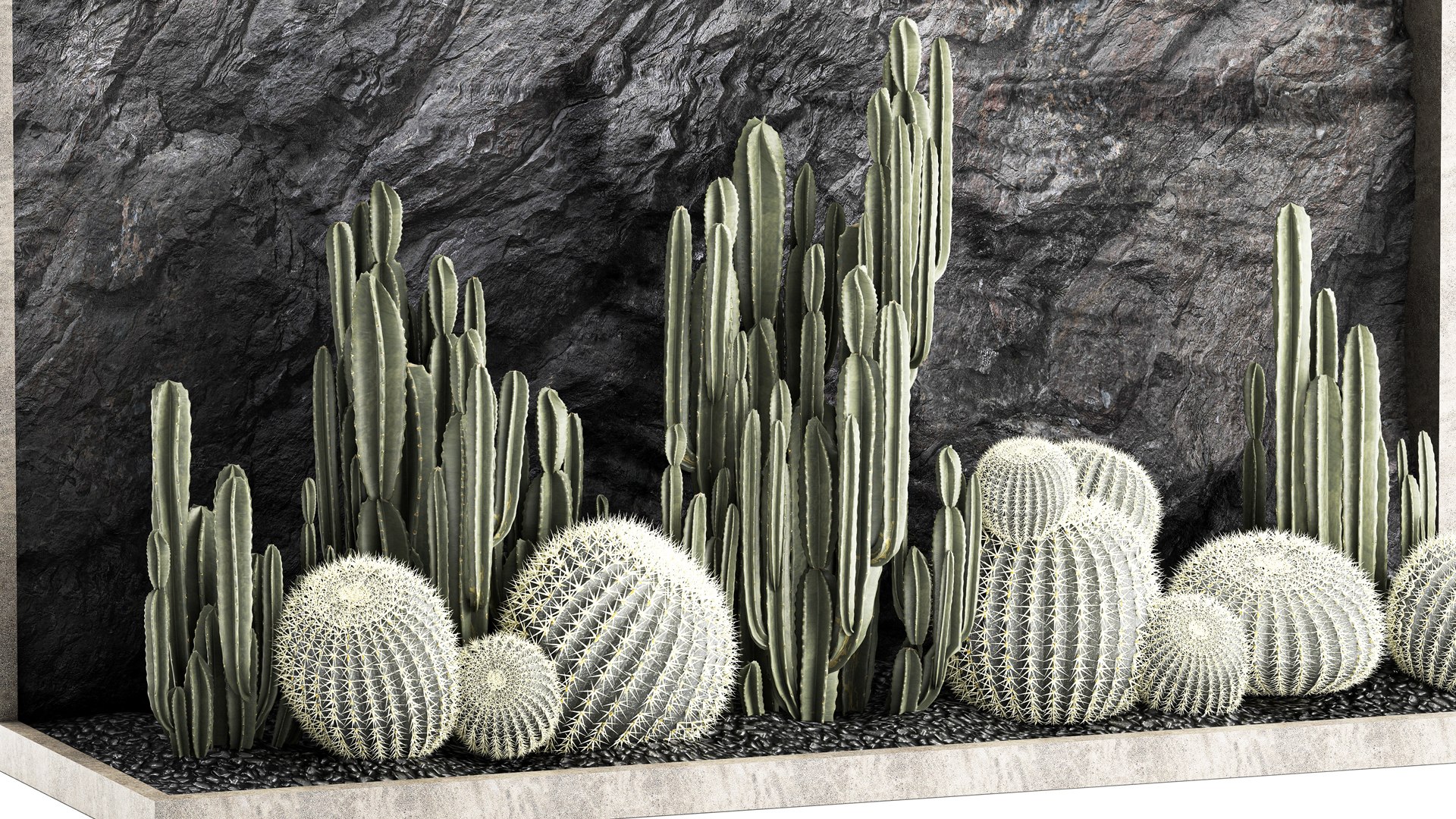 Beautiful cacti and a wall of black rock and pebbles 1279 3D model https://p.turbosquid.com/ts-thumb/Mq/jrJQEZ/6R/1garden2404202303/jpg/1682511580/1920x1080/fit_q87/412c16e9df26c2e6a43b981fa08d6802aff7a919/1garden2404202303.jpg