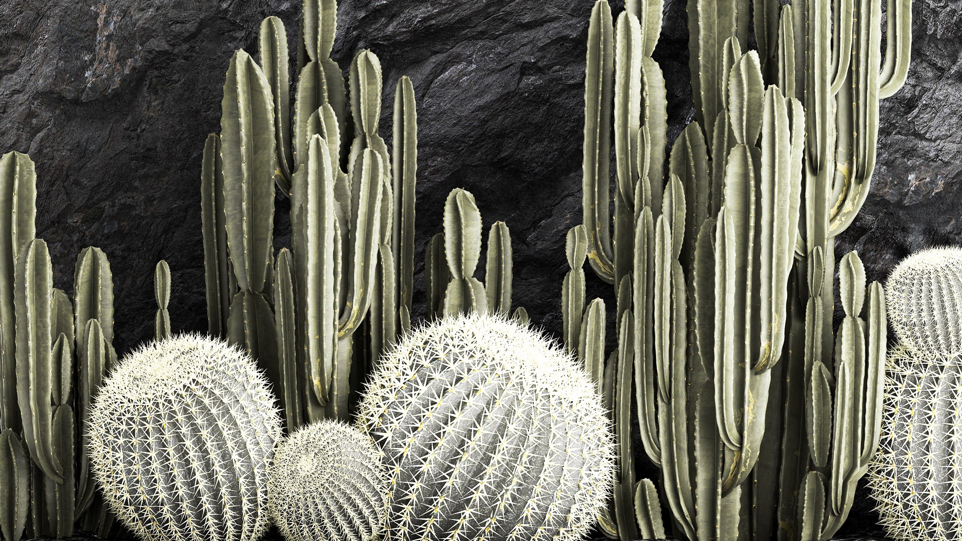 Beautiful cacti and a wall of black rock and pebbles 1279 3D model https://p.turbosquid.com/ts-thumb/Mq/jrJQEZ/84/1garden2404202307/jpg/1682511582/1920x1080/fit_q87/5c5b10a3fa55ed2aba64f5a4dc9060e7ed4005e3/1garden2404202307.jpg