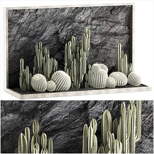 Beautiful cacti and a wall of black rock and pebbles 1279
