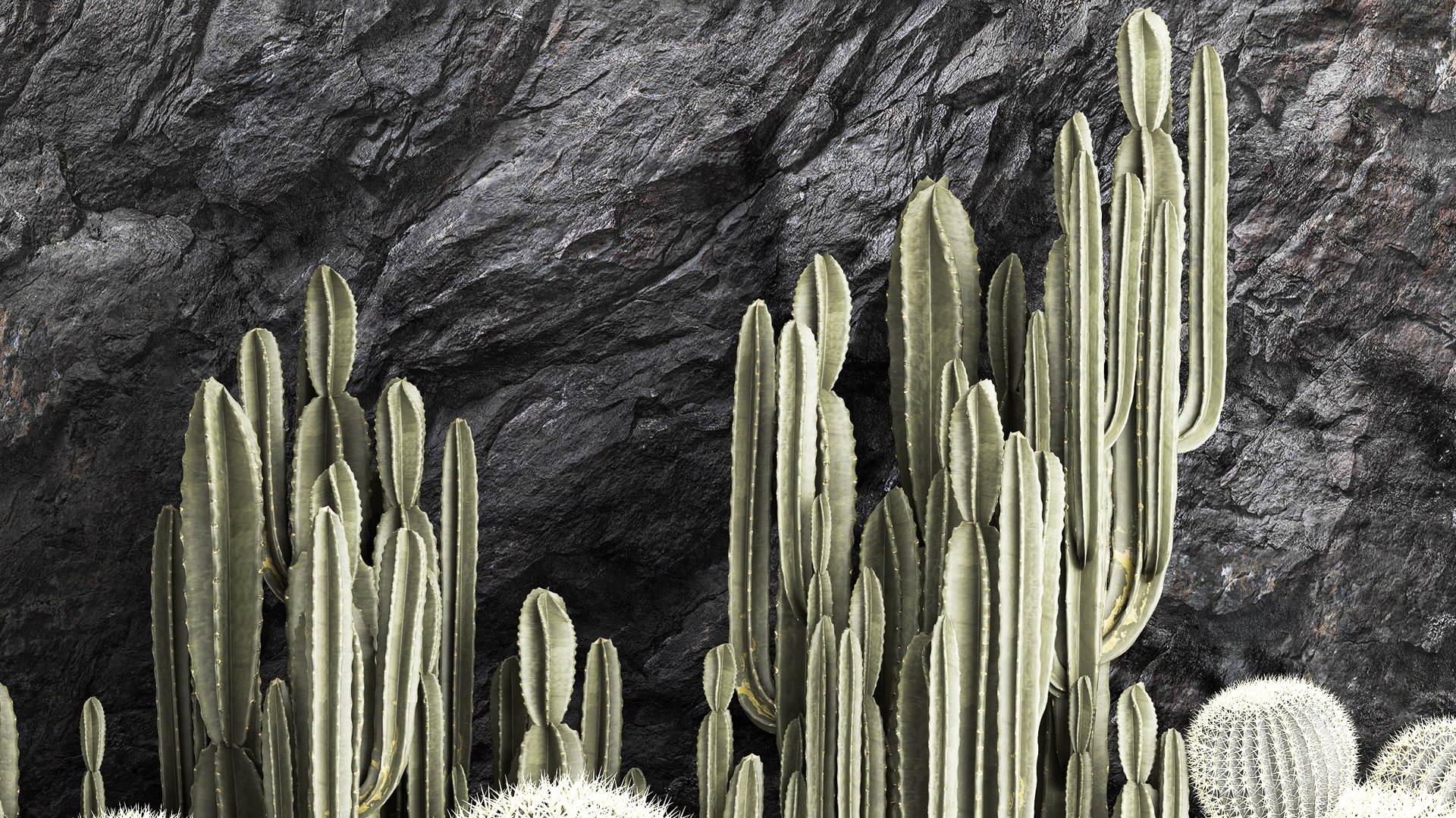Beautiful cacti and a wall of black rock and pebbles 1279 3D model https://p.turbosquid.com/ts-thumb/Mq/jrJQEZ/bA/1garden2404202308/jpg/1682511584/1920x1080/fit_q87/7ddae670fb717f86fe06e1a536f8edbab49346c4/1garden2404202308.jpg