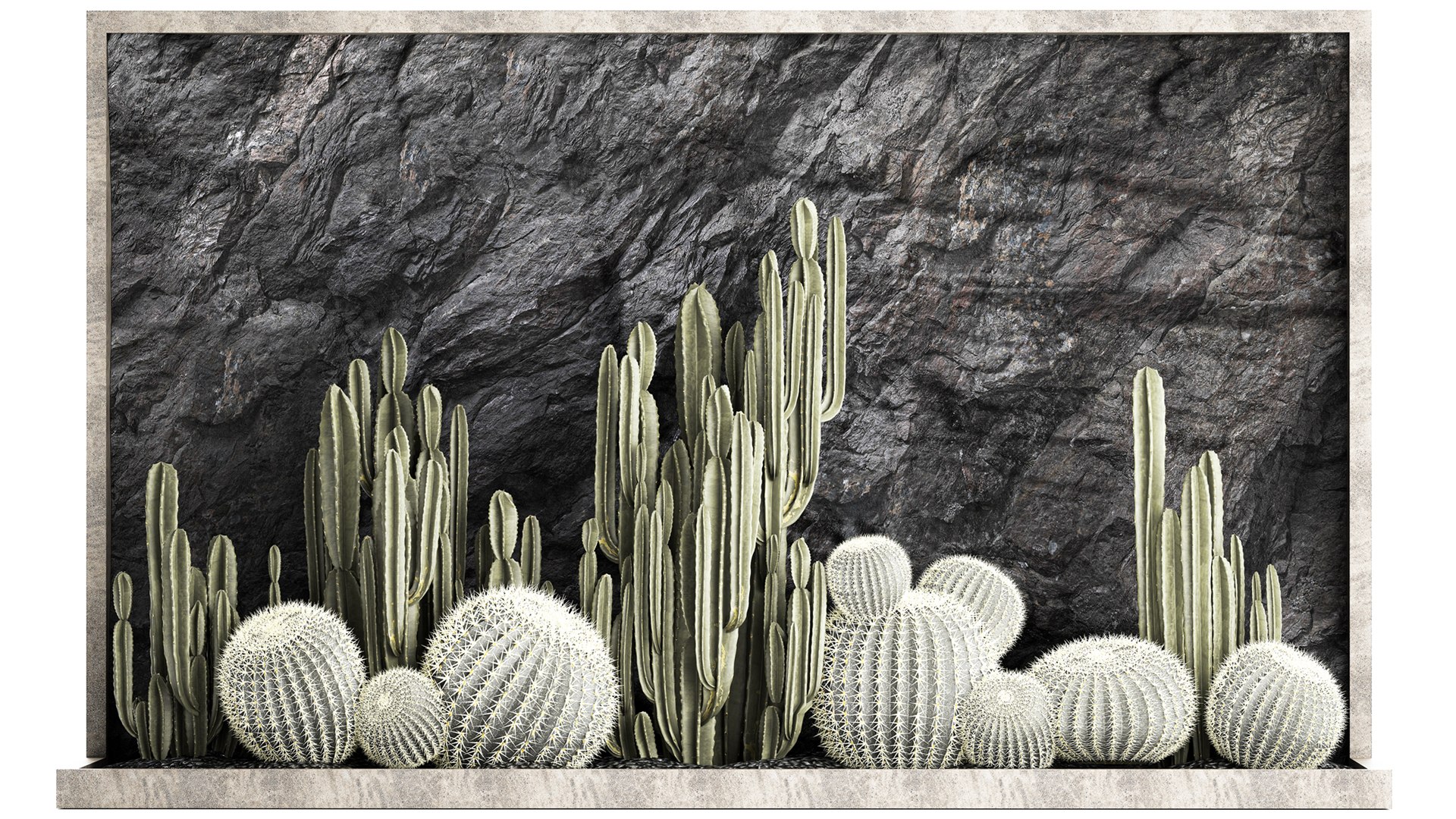 Beautiful cacti and a wall of black rock and pebbles 1279 3D model https://p.turbosquid.com/ts-thumb/Mq/jrJQEZ/kv/1garden2404202301/jpg/1682511580/1920x1080/fit_q87/5572485a6f2b329d266a336f0af01d653275b59b/1garden2404202301.jpg