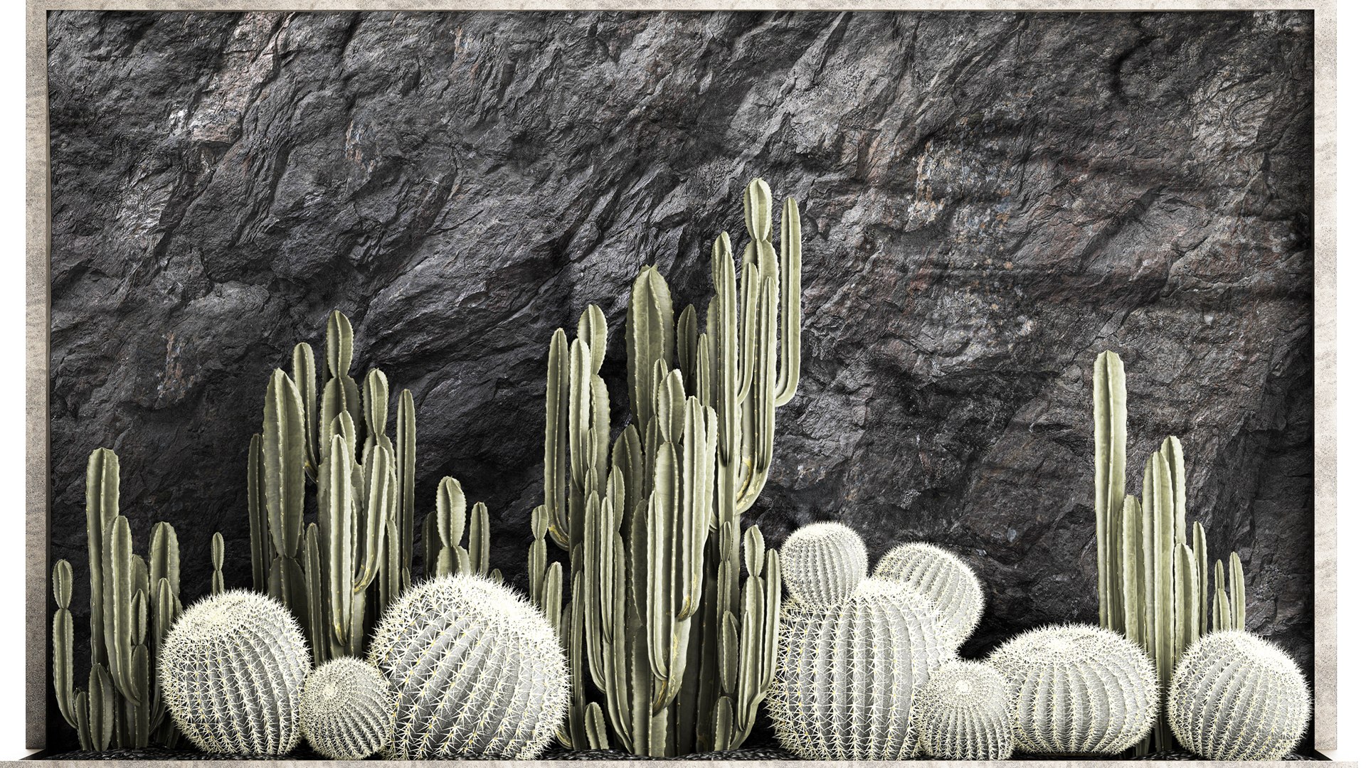 Beautiful cacti and a wall of black rock and pebbles 1279 3D model https://p.turbosquid.com/ts-thumb/Mq/jrJQEZ/nf/1garden2404202305/jpg/1682511581/1920x1080/fit_q87/42f3a026958859157411b11f82a50adbdfa2b820/1garden2404202305.jpg