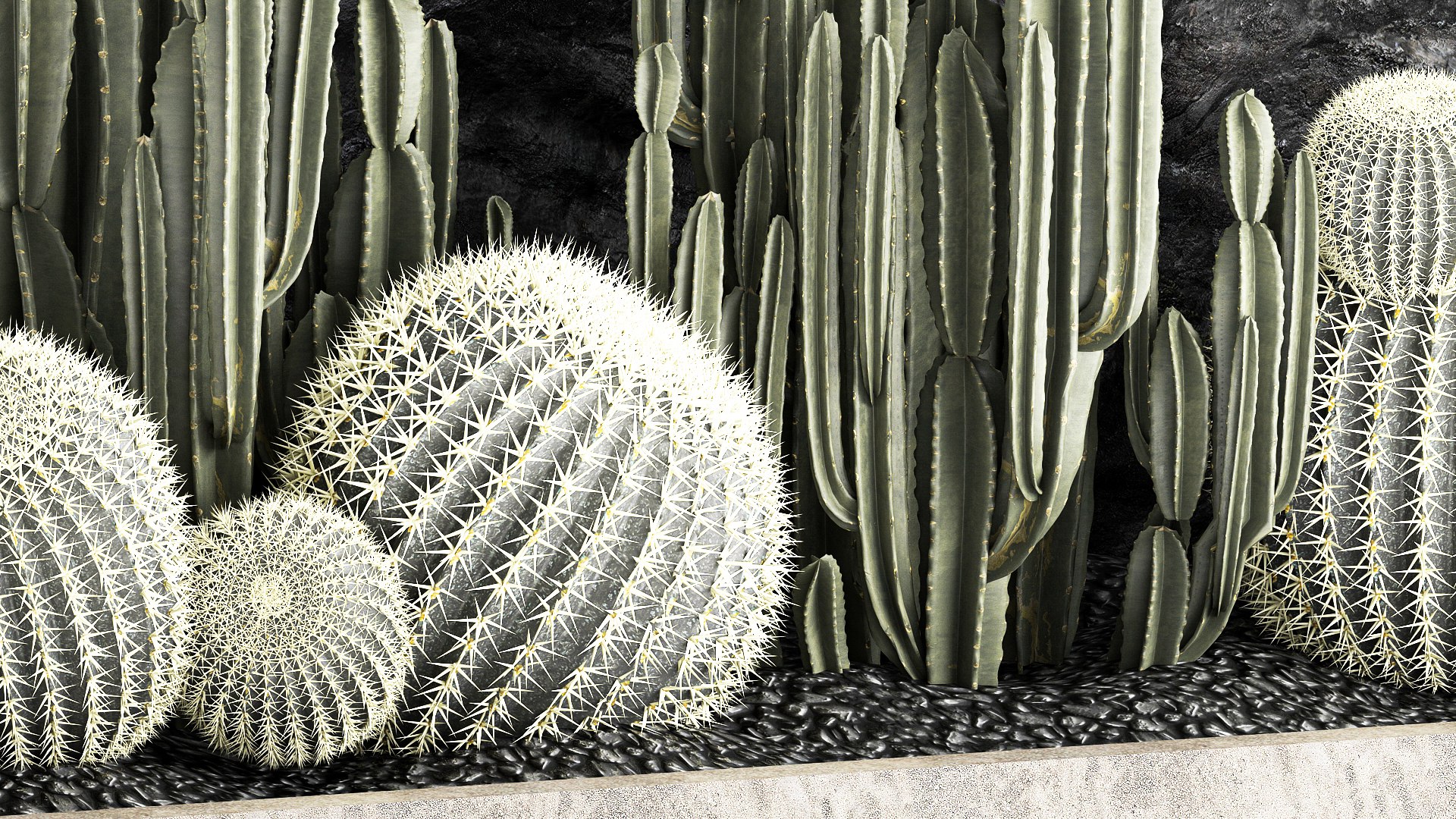 Beautiful cacti and a wall of black rock and pebbles 1279 3D model https://p.turbosquid.com/ts-thumb/Mq/jrJQEZ/rx/1garden2404202304/jpg/1682511583/1920x1080/fit_q87/6d03d4c86cfc76d1a841d4aa1b3fae3568629508/1garden2404202304.jpg