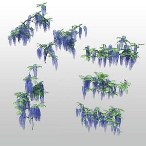 3d flowers wisteria