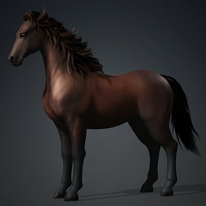 3D Horse-G8 model