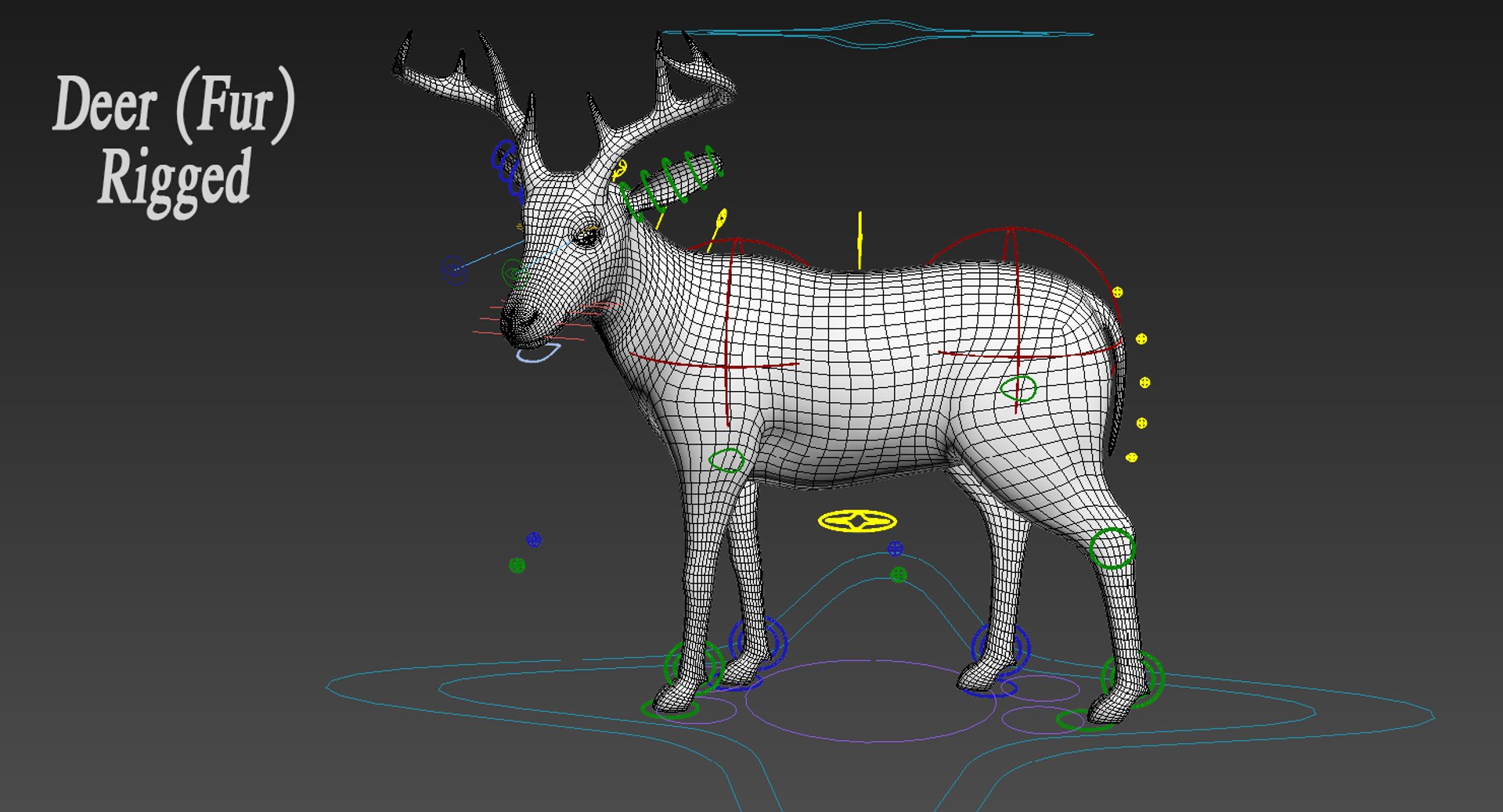 3D model deer fur rigged https://p.turbosquid.com/ts-thumb/Mq/qwQEqG/iZfATfje/rigcontrol1/png/1508984246/1920x1080/fit_q87/fb867156d4a2859c645423c4d539ce71b0c6ece8/rigcontrol1.jpg