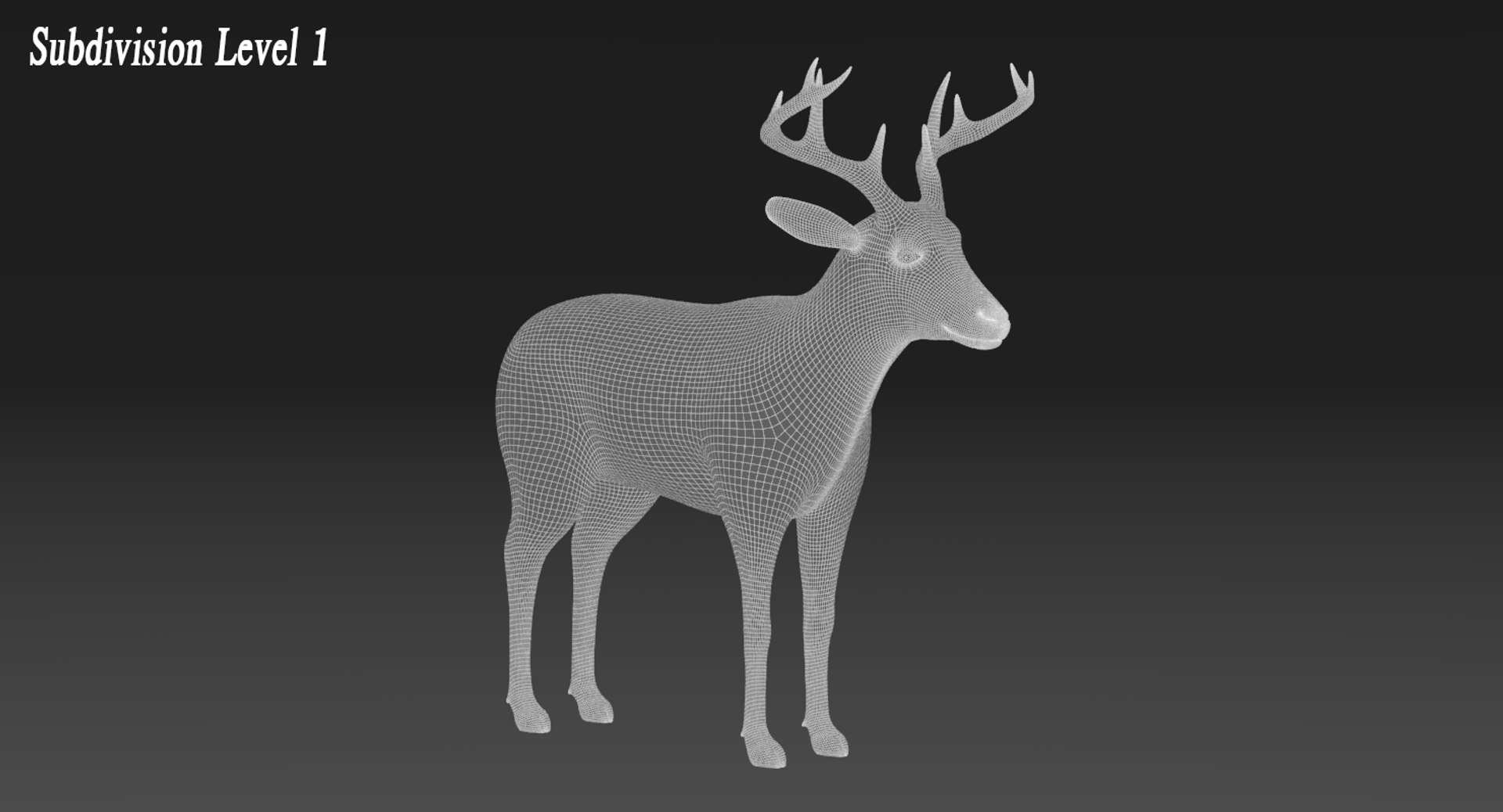 3D model deer fur rigged https://p.turbosquid.com/ts-thumb/Mq/qwQEqG/ntTNX5fF/deerfurwire2/png/1508942864/1920x1080/fit_q87/3266ae83afcb2992f7cbec5df0aac87e4d06f45d/deerfurwire2.jpg