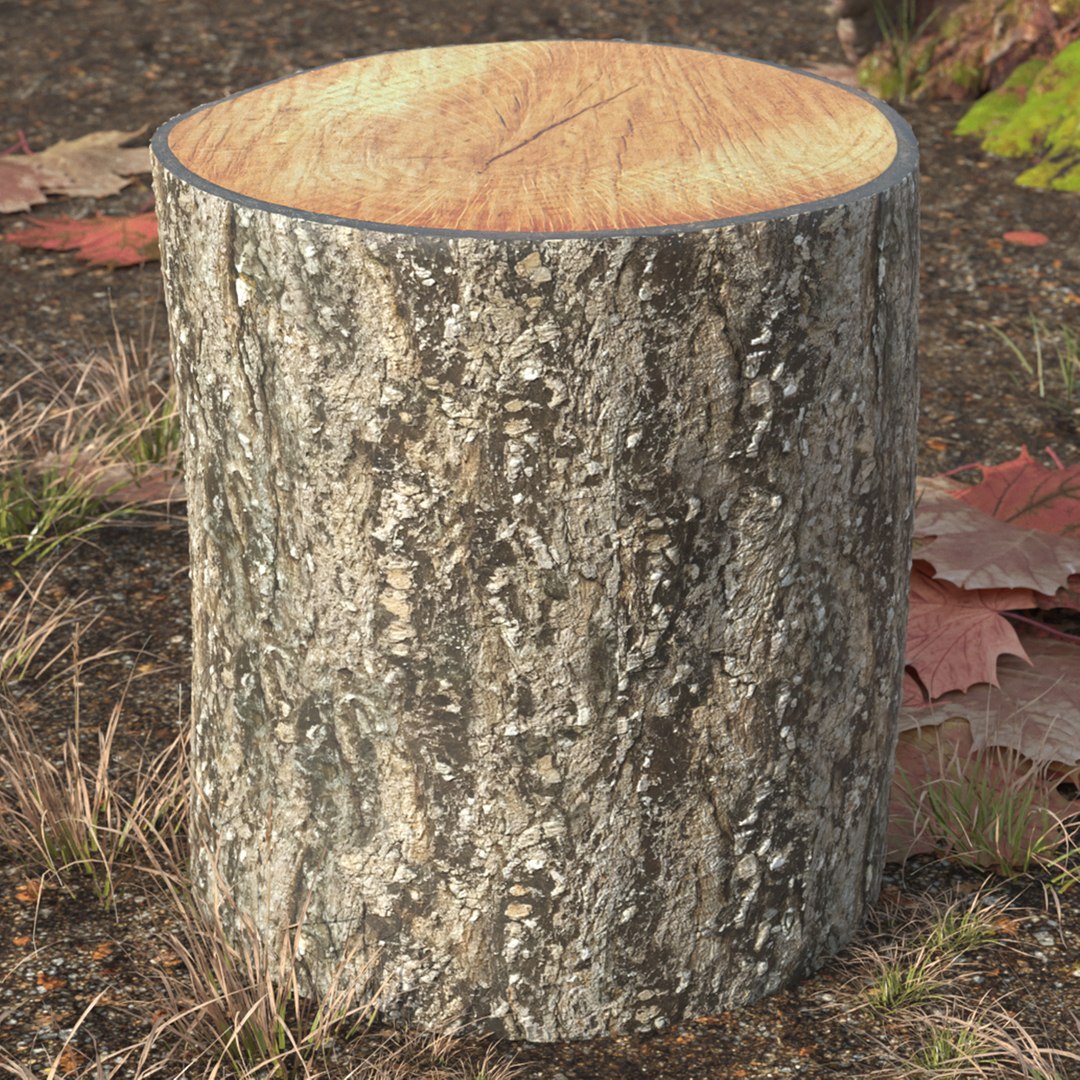 Vertical Log Cut with Rough Bark 3D model preview