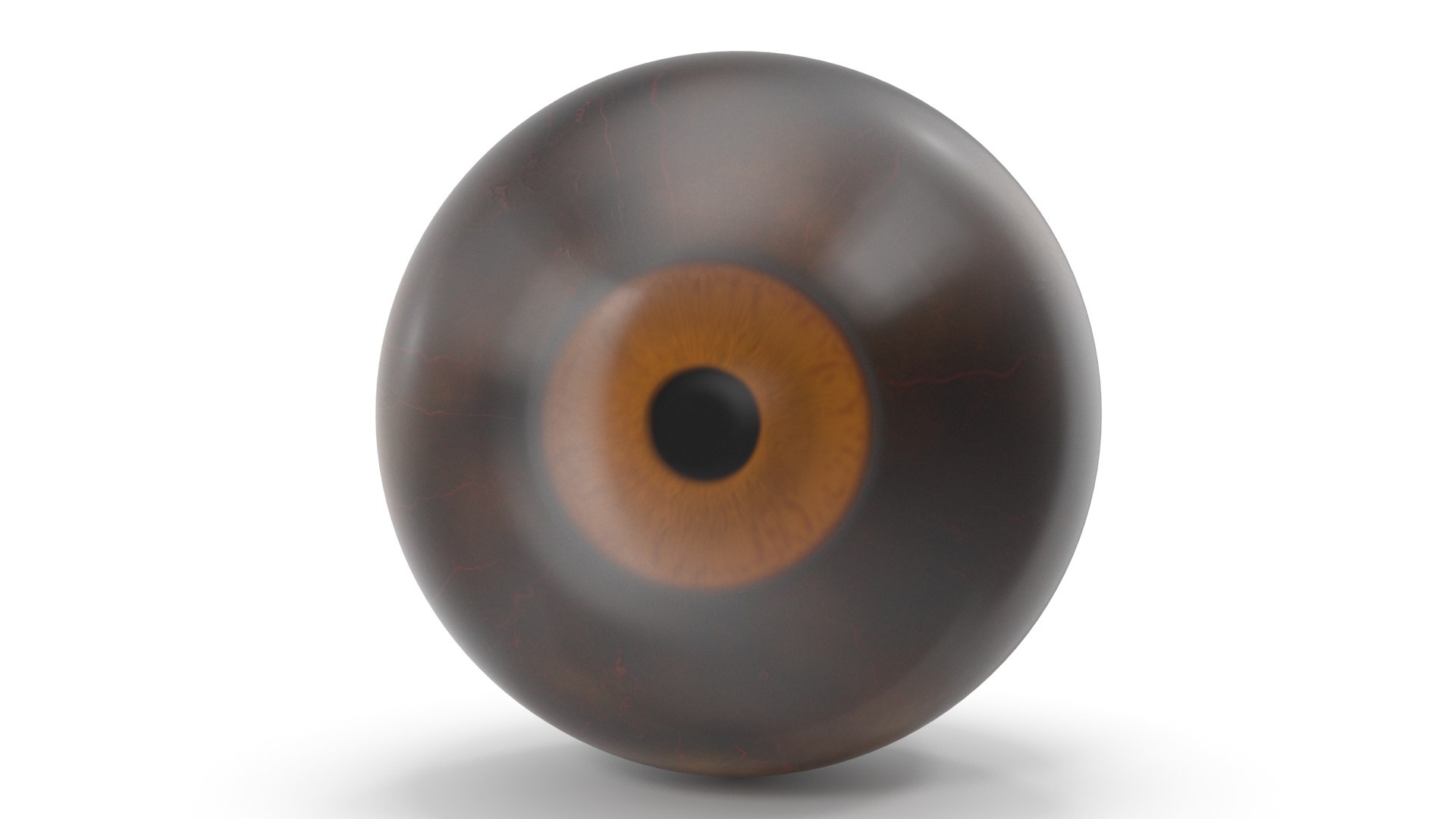 Realistic Animal Eyes Set model https://p.turbosquid.com/ts-thumb/Mr/25su4c/1J/realisticanimaleyessetmb3dmodel022/jpg/1708976132/1920x1080/fit_q87/75f8c7a4c442dedd2ffb3edc478d042bdbcabef7/realisticanimaleyessetmb3dmodel022.jpg
