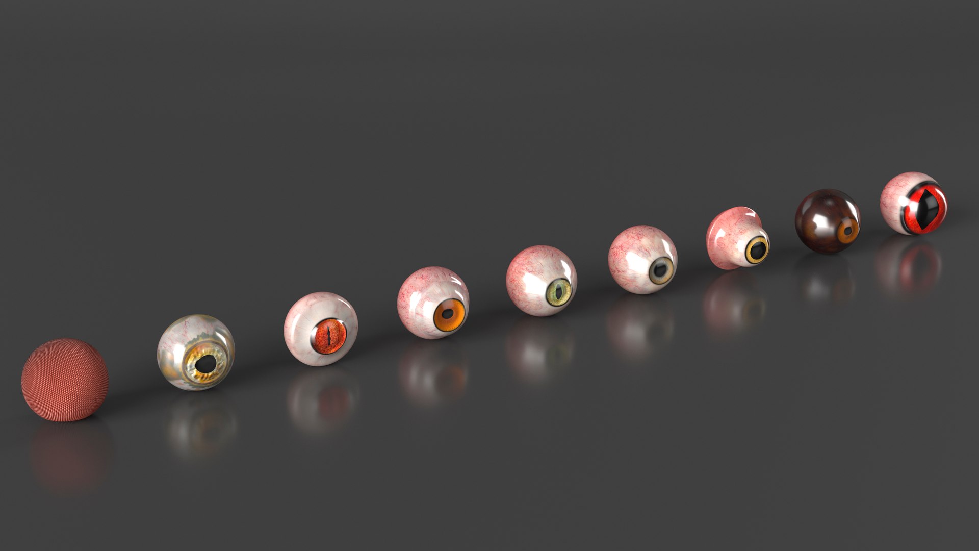 Realistic Animal Eyes Set model https://p.turbosquid.com/ts-thumb/Mr/25su4c/2y/realisticanimaleyessetmb3dmodel011/jpg/1708976075/1920x1080/fit_q87/9dacfafdd0b191c69d244b813d8f566b39c9bee9/realisticanimaleyessetmb3dmodel011.jpg