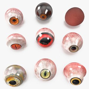 Realistic Animal Eyes Set