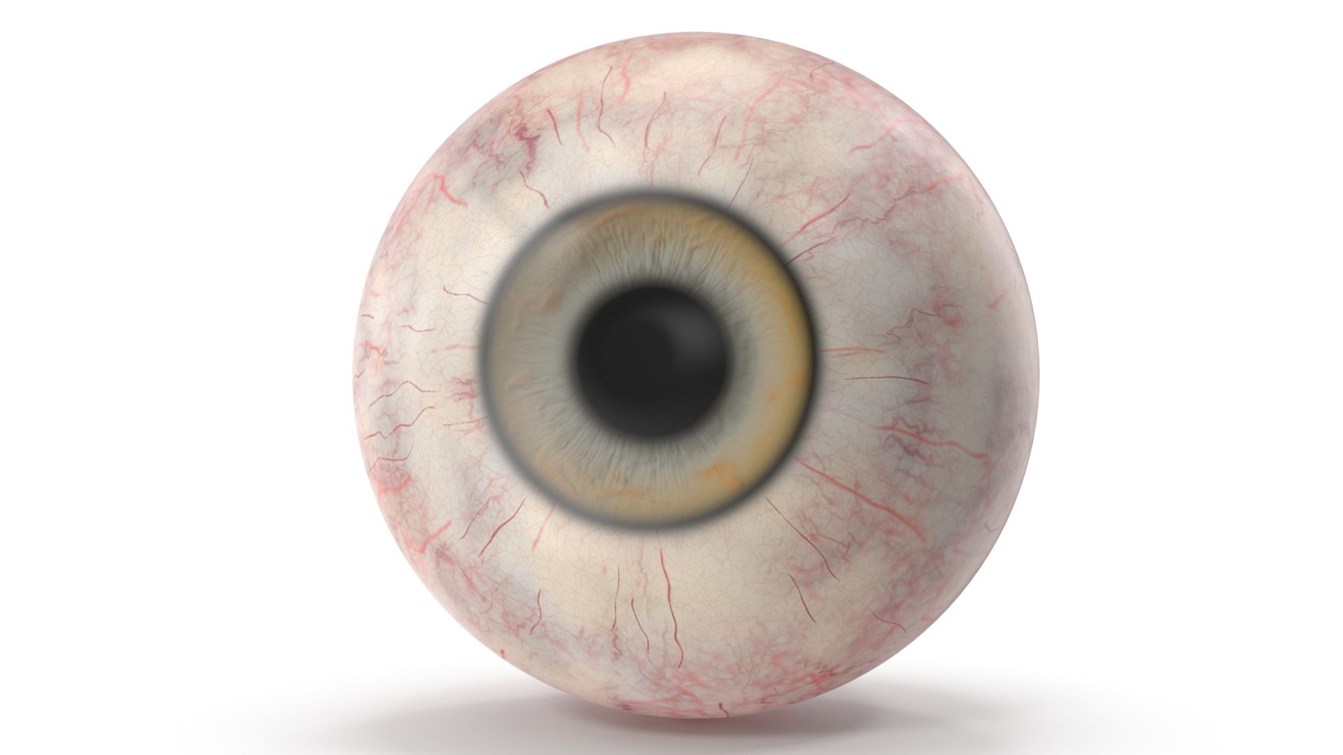 Realistic Animal Eyes Set model https://p.turbosquid.com/ts-thumb/Mr/25su4c/Ff/realisticanimaleyessetmb3dmodel017/jpg/1708976108/1920x1080/fit_q87/db1fcea054b0bdbeaa1b3127c8beb417c915e27b/realisticanimaleyessetmb3dmodel017.jpg