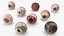 Realistic Animal Eyes Set