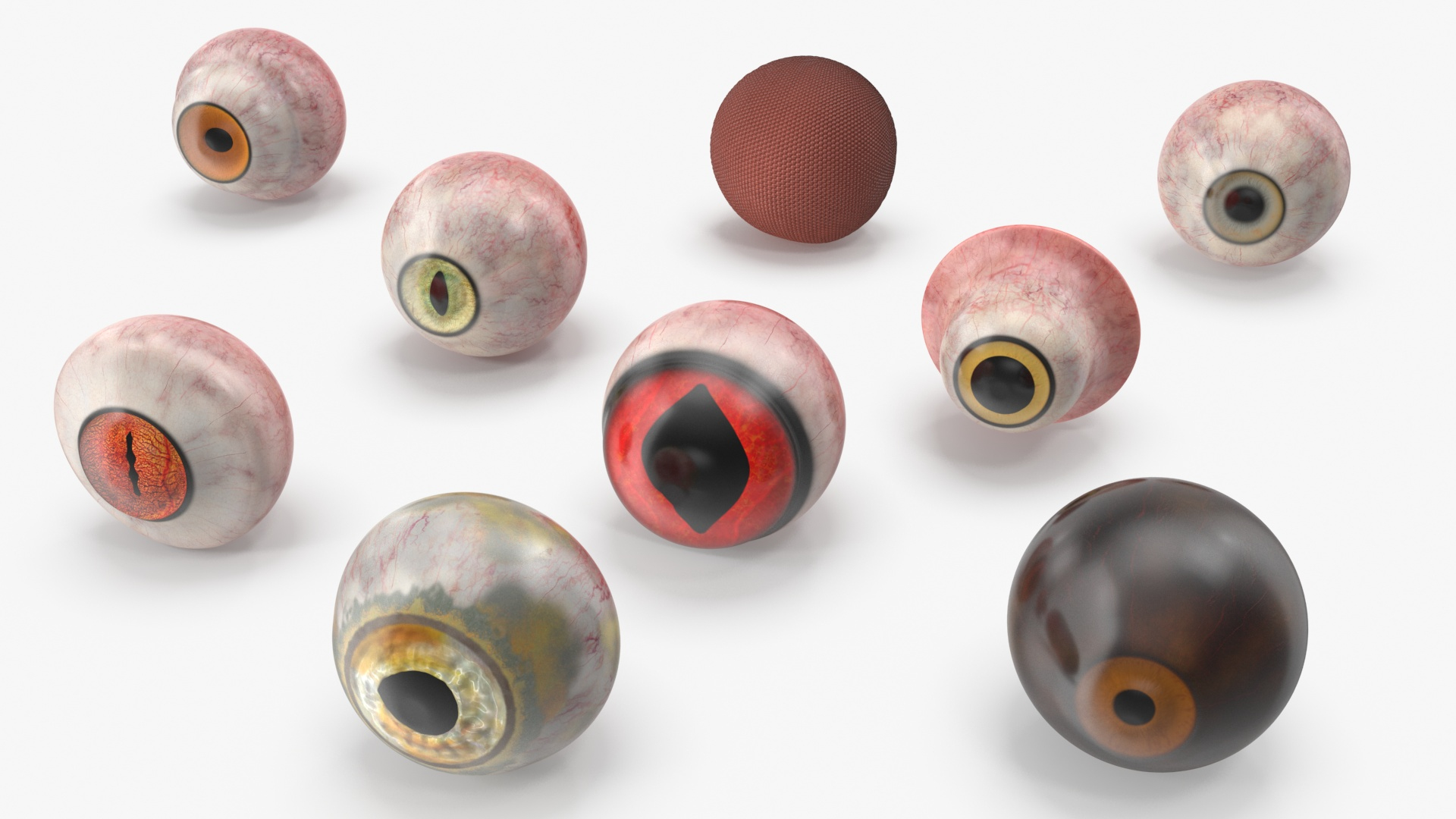 Realistic Animal Eyes Set model https://p.turbosquid.com/ts-thumb/Mr/25su4c/JF/realistic_animal_eyes_set_360/jpg/1708975534/1920x1080/turn_fit_q99/29ce9d466013e4eac8a780706069265c0af8ffc3/realistic_animal_eyes_set_360-1.jpg