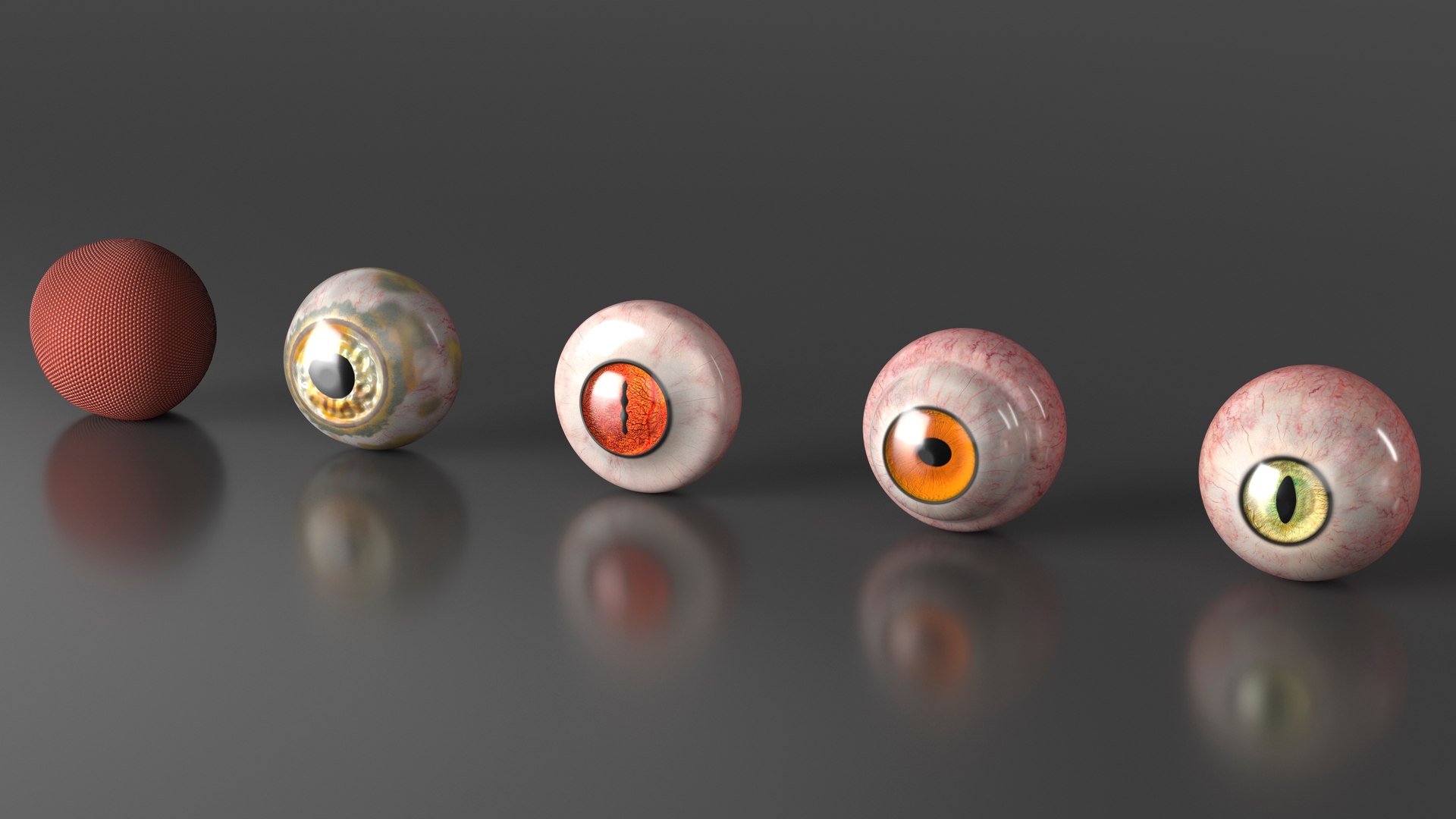 Realistic Animal Eyes Set model https://p.turbosquid.com/ts-thumb/Mr/25su4c/Uh/realisticanimaleyessetmb3dmodel012/jpg/1708976081/1920x1080/fit_q87/a861d997925dec65d1dfc0c10ba6f650f7d084c1/realisticanimaleyessetmb3dmodel012.jpg