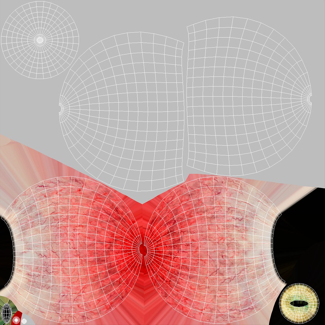 Realistic Animal Eyes Set model https://p.turbosquid.com/ts-thumb/Mr/25su4c/cL/realisticanimaleyessetmb3dmodel034/jpg/1708976188/1920x1080/fit_q87/b160ccf426a5f94073d5145955a56416f1f5afd6/realisticanimaleyessetmb3dmodel034.jpg