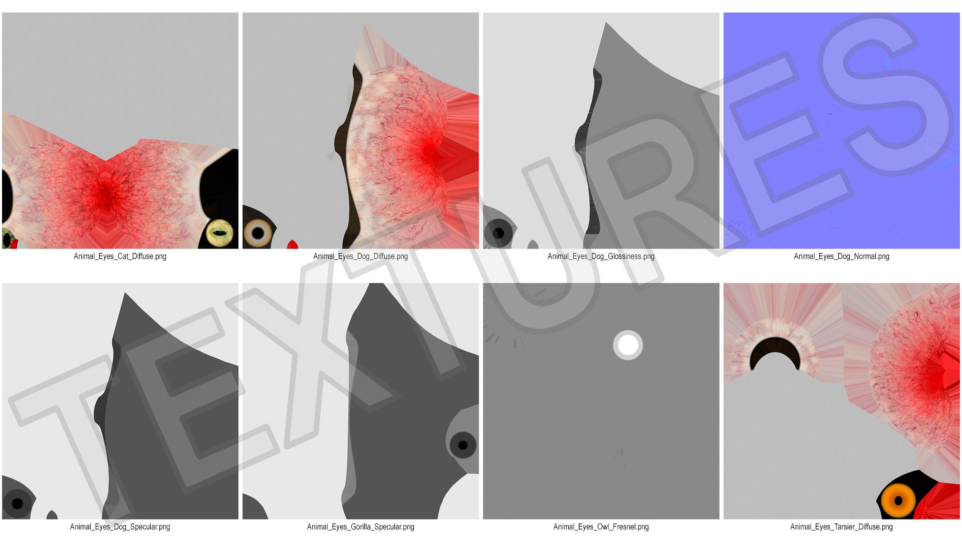 Realistic Animal Eyes Set model https://p.turbosquid.com/ts-thumb/Mr/25su4c/lR/realisticanimaleyessetmb3dmodel035/jpg/1708976194/1920x1080/fit_q87/2d6f2b7f0c01b972c41f436cbf3f109bd3d299c6/realisticanimaleyessetmb3dmodel035.jpg