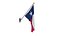 Texas Flags Bundle