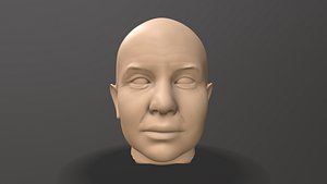 3D Male Head Sculpt model