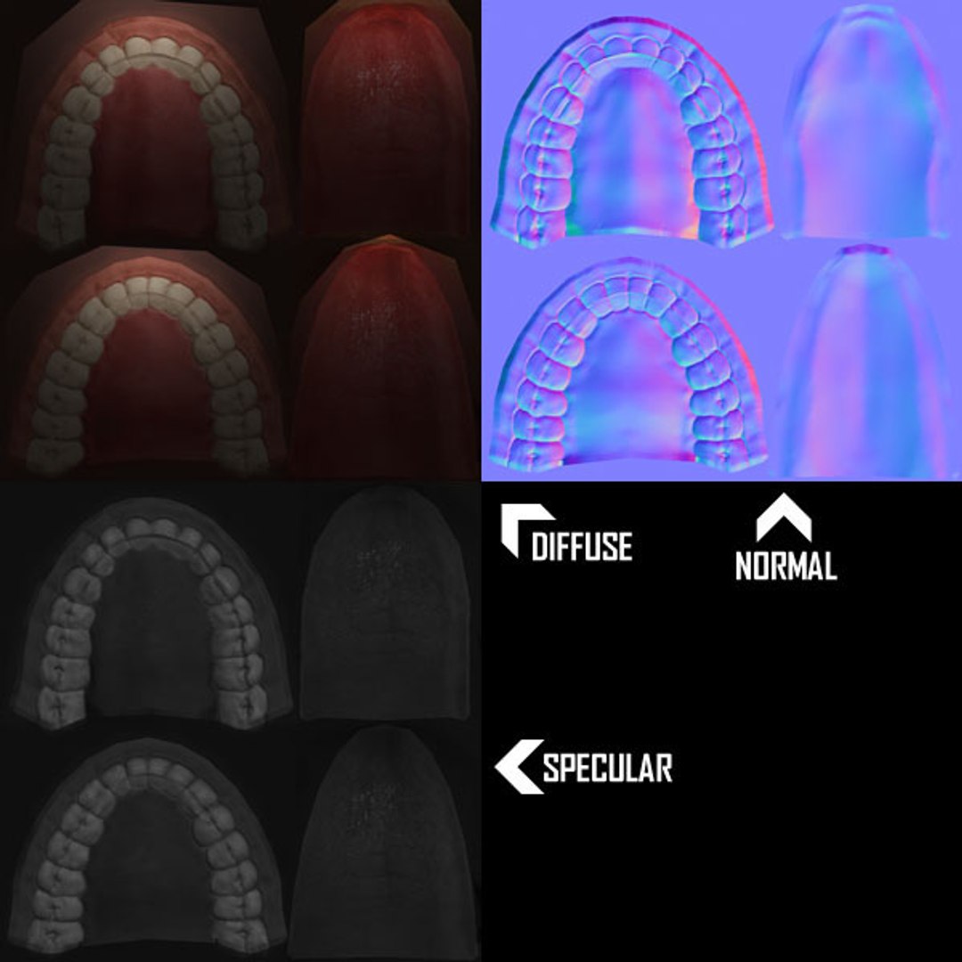 male 01 3d model https://p.turbosquid.com/ts-thumb/Mr/8sOOLa/JviPMEWe/teethprev/jpg/1375322779/1920x1080/fit_q87/a31b1136c68fa396b2e2f2f4ff2b8d0f794494e2/teethprev.jpg