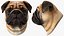 Mops Hundekopf