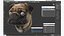 Mops Hundekopf