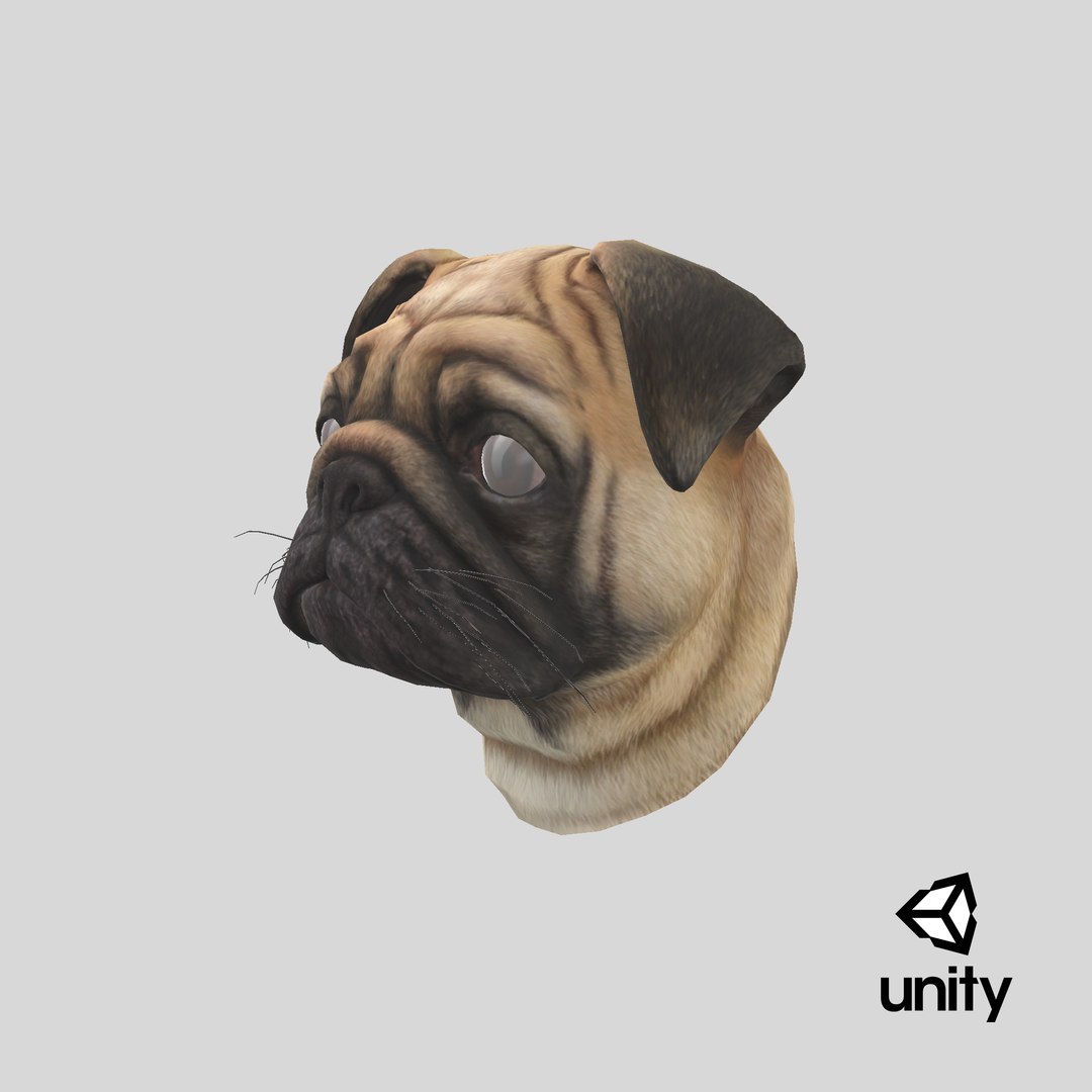 3D pug dog head https://p.turbosquid.com/ts-thumb/Mr/DJBjtn/pf/stemcell_unity_render/png/1646294209/1920x1080/fit_q87/4d855e8e7c485d376dba0a0f8fca29a48a3f5e91/stemcell_unity_render.jpg
