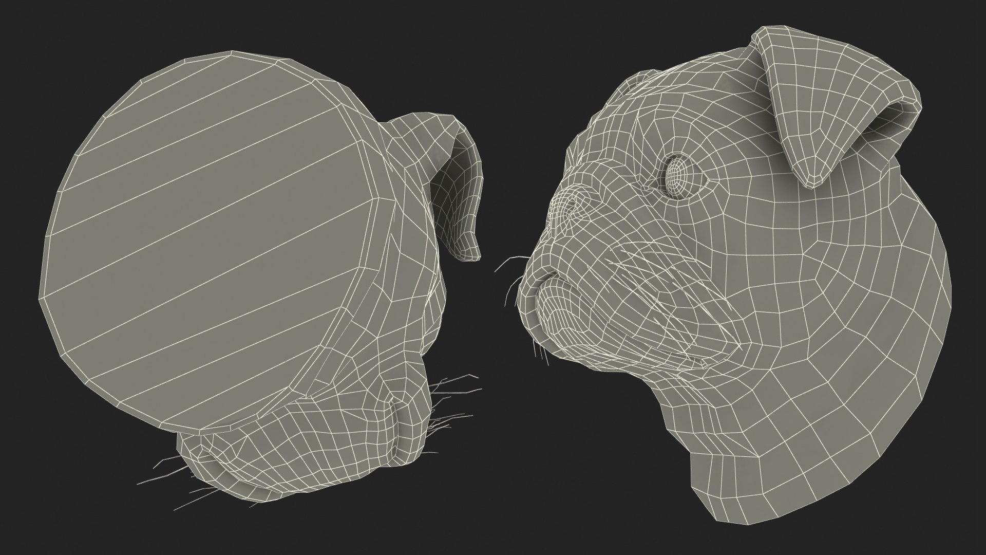3D pug dog head https://p.turbosquid.com/ts-thumb/Mr/DJBjtn/wB/pugdogheadvray3dmodel020/jpg/1611366079/1920x1080/fit_q87/fb5ea69016b5efe429943c9337761db8c01164b2/pugdogheadvray3dmodel020.jpg