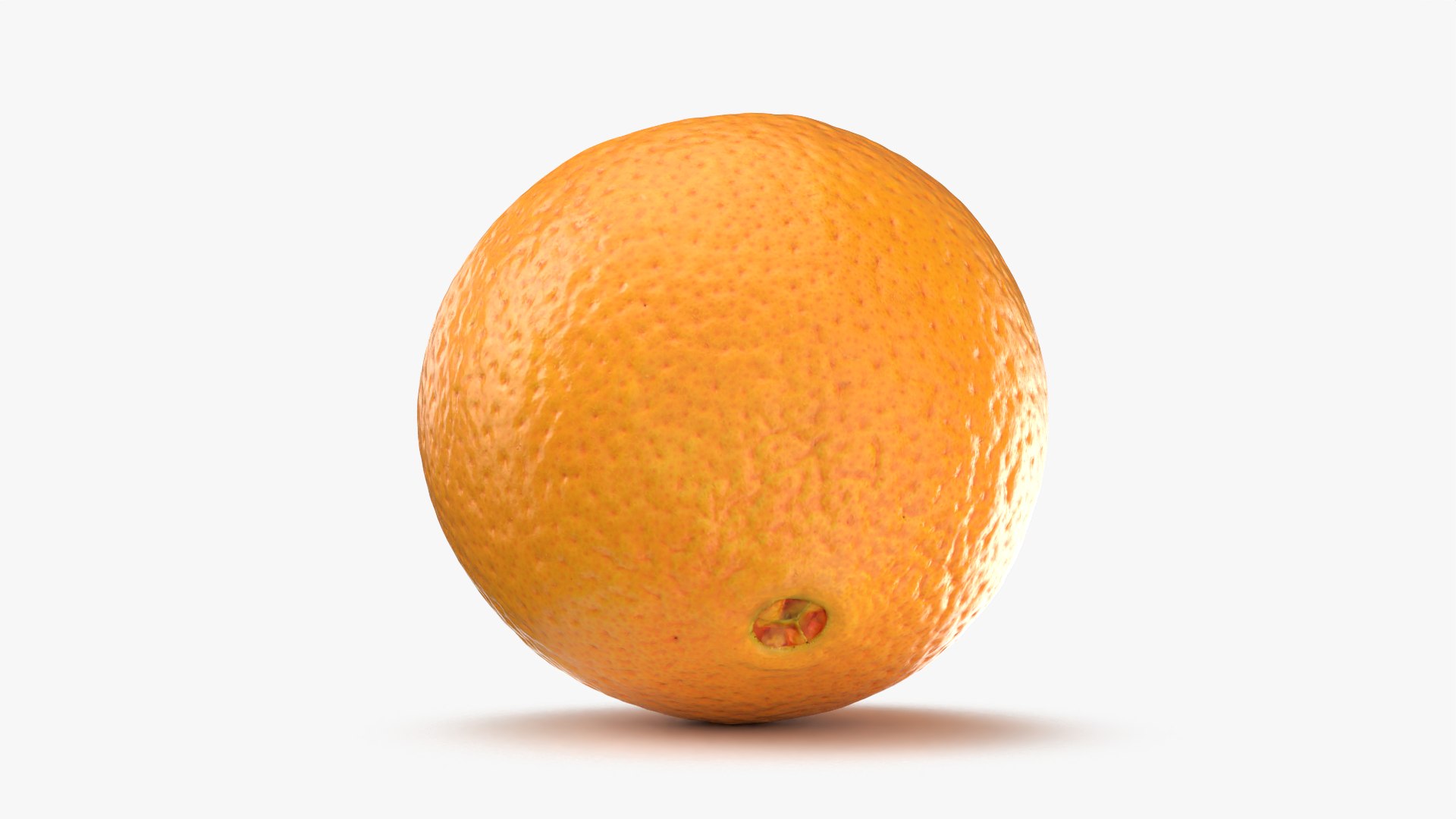 3D Orange - 3D Scanned Collection https://p.turbosquid.com/ts-thumb/Mr/GCINqk/Ab/orangehalf_0003/png/1770716689/1920x1080/fit_q87/73c1a1146fe35c8605a92d8a1863344670b76fb0/orangehalf_0003.jpg