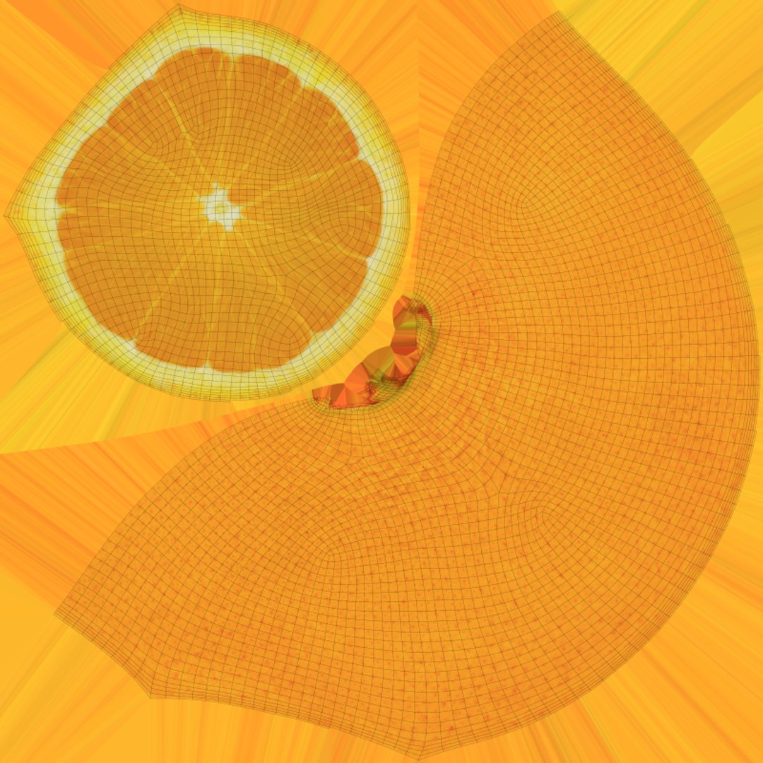 3D Orange - 3D Scanned Collection https://p.turbosquid.com/ts-thumb/Mr/GCINqk/Nq/orangehalf_e0004/png/1770716690/1920x1080/fit_q87/288a6dc1b1e08ac49632b7ab7129b93a8e355d02/orangehalf_e0004.jpg