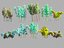 Surreal Marijuana Bamboo Forest Animated