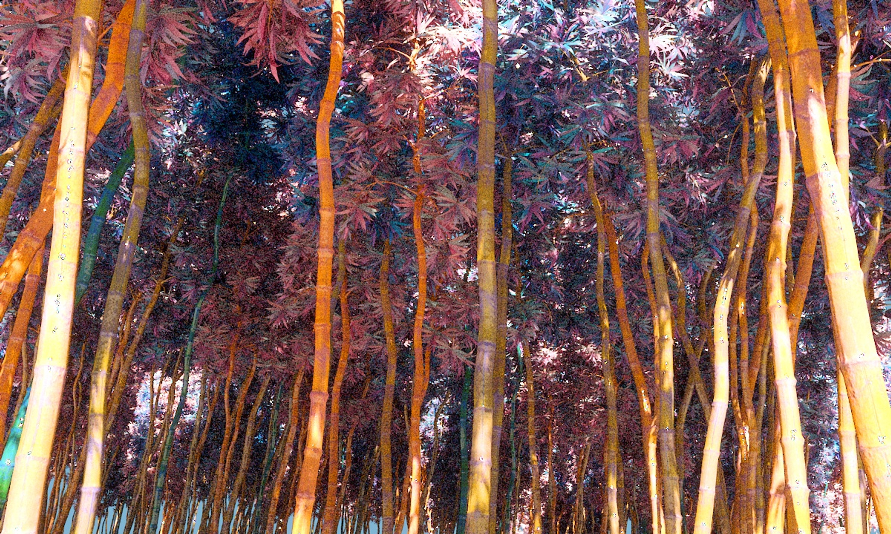 bamboo forest pack 10 3D model https://p.turbosquid.com/ts-thumb/Mr/JWEn8t/6sQVlIt1/0000/jpg/1551973913/1920x1080/turn_fit_q99/2c1338982b0fb2d598e7cb9857ca6540f71c191a/0000-1.jpg