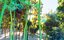 Surreal Marijuana Bamboo Forest Animated