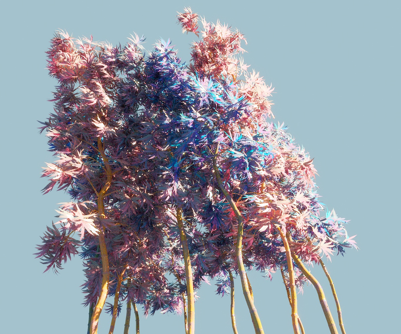 Bamboo Forest Pack 10 3D Model - TurboSquid 1384835