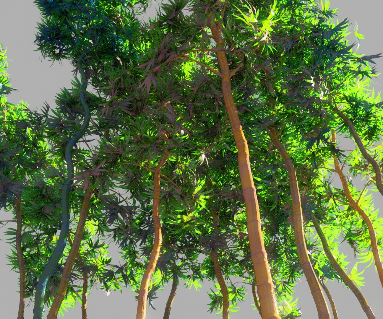 bamboo forest pack 10 3D model https://p.turbosquid.com/ts-thumb/Mr/JWEn8t/u1AEN2XE/8889/jpg/1551971509/1920x1080/fit_q87/6d01b4252f8943eec91118644a929be5107a3e8c/8889.jpg