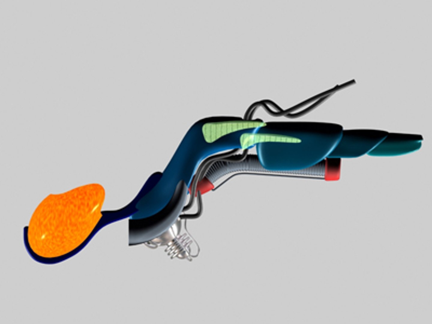 3d Model Of Motor Insect