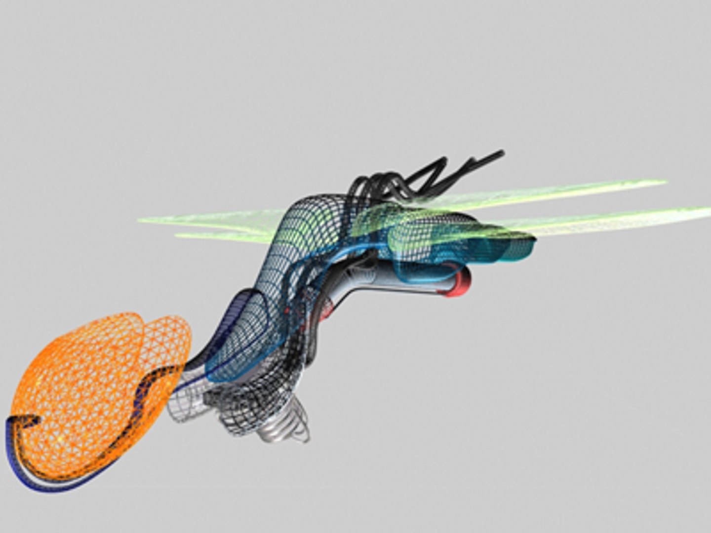 3d Model Of Motor Insect