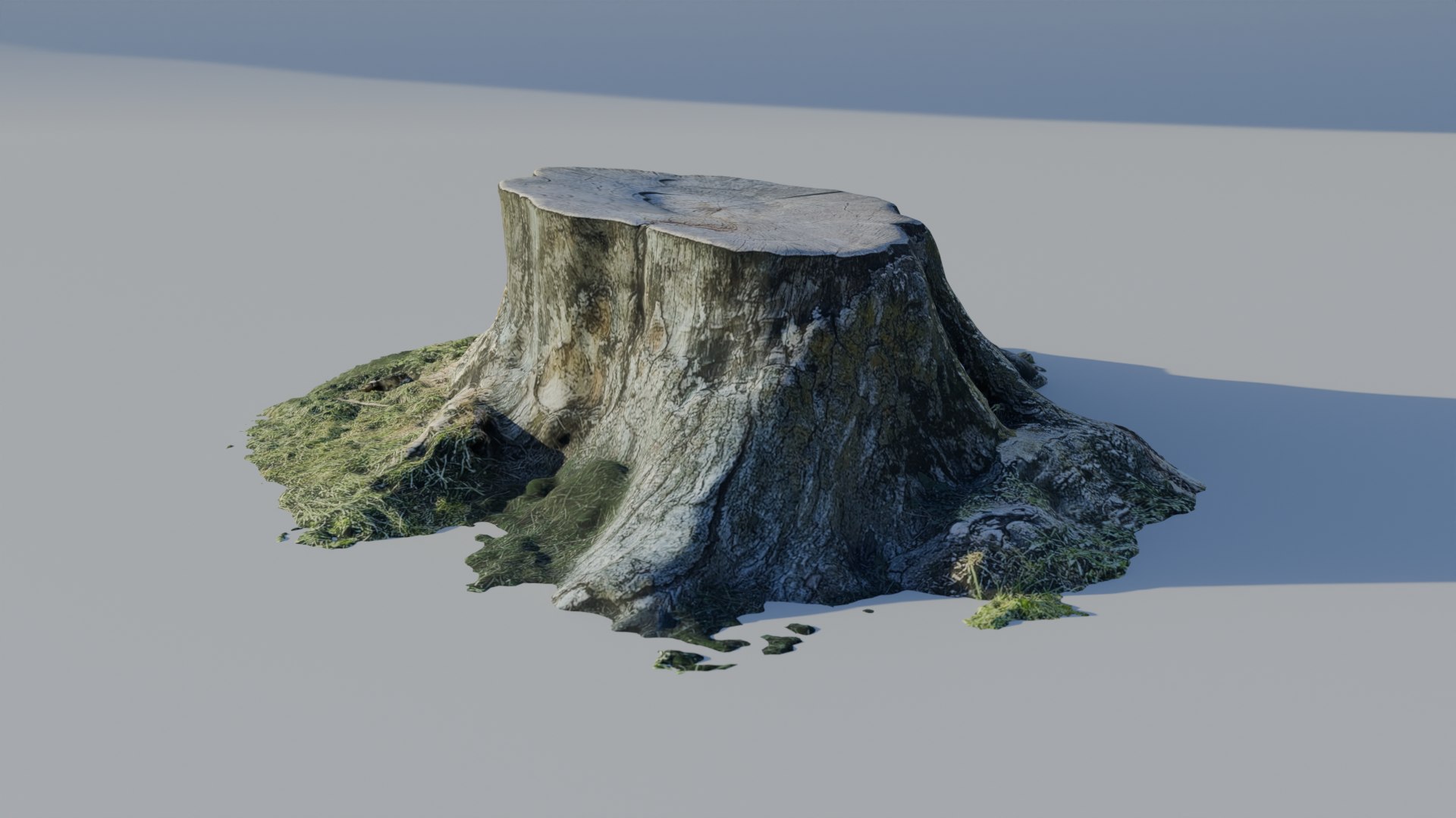 Tree Stump Truck Optimized 3D Scan 3D https://p.turbosquid.com/ts-thumb/Mr/RJQx80/0W/4/png/1722362449/1920x1080/fit_q87/95b005b3c51e77e2ee2565c1deee12eaf497896e/4.jpg