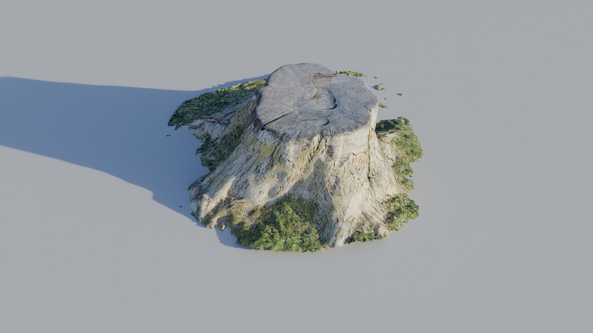 Tree Stump Truck Optimized 3D Scan 3D https://p.turbosquid.com/ts-thumb/Mr/RJQx80/it/2/png/1722362465/1920x1080/fit_q87/1054d96609107852d79e1fbfc8c39b32c2517ad3/2.jpg