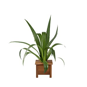 3D plant design modeled