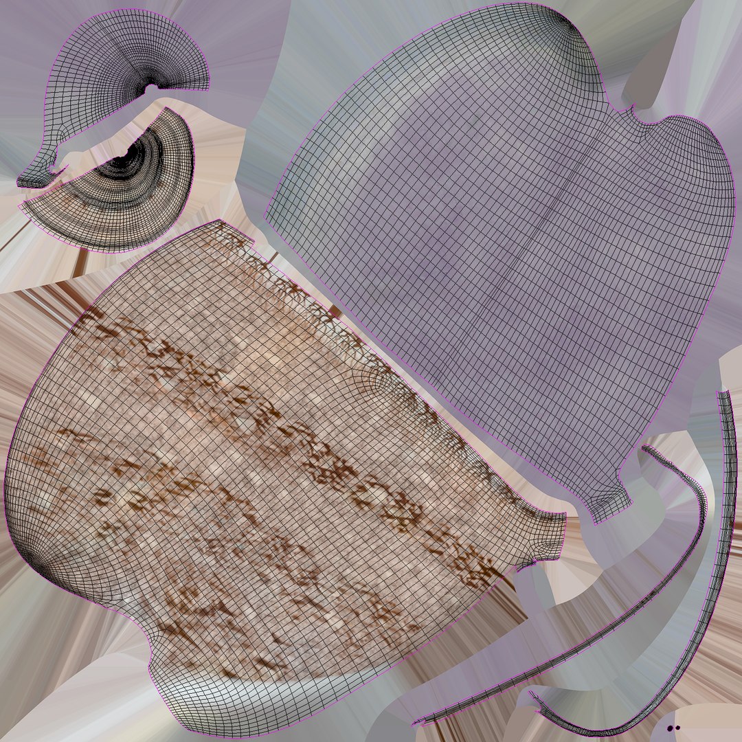 3d model olive shell