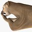 3ds max kinkajou pose 4