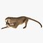 3ds max kinkajou pose 4