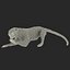 3ds max kinkajou pose 4